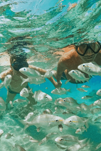 Parrachos de Rio do Fogo 4