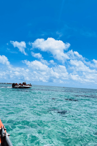 Parrachos de Rio do Fogo